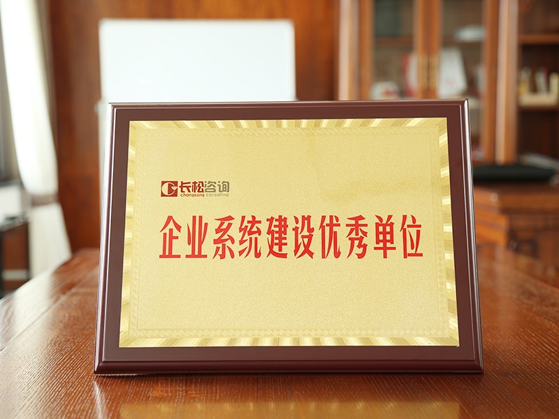 企業(yè)系統(tǒng)建設優(yōu)秀單位